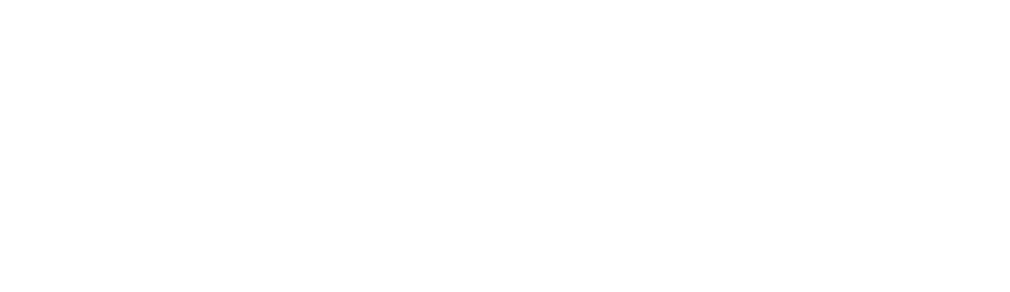Dan M Lee Photography Logo White