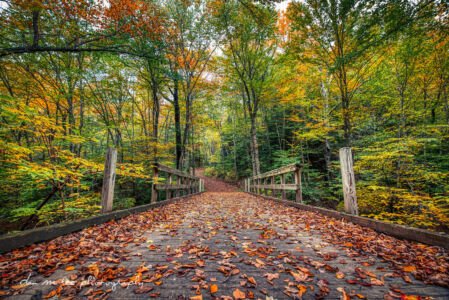 Fall in Catskills New York